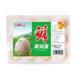 徐鸿飞小鲜蛋 鲜草鸡蛋 12枚/盒 576g