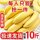 DEARLYBELOVED云南现摘高山香蕉   9斤