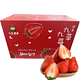 鑫久盈 红颜奶油草莓丹东99草莓  大果三斤（15-25g）