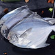 意和旺 国产银鲳鱼 鲜活速冻  银鲳鱼 2斤（12-16条）