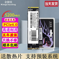 Kingchuxing 金储星 M.2接口NVMe协议pcie4.0×4通道ssd固态硬盘 512GB