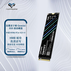 TOPMORE 达墨 双子座4.0  2TB SSD NVMe 笔记本台式机高速固态硬盘国产颗粒