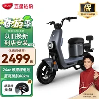 ZUB 五星钻豹 电动车新国标48V24AH锂电电瓶车电动自行车 B5plus-24祥云灰/中灰