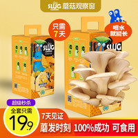 SLUG 鼻涕虫花园 儿童蘑菇种植包可食用 好吃又好玩/植物生长观察