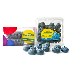 怡颗莓 Driscoll's  当季限量Jumbo超大果云南蓝莓4盒约125g/盒 新鲜水果