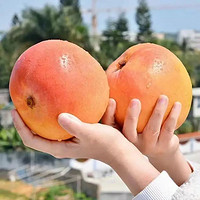 京东生鲜周二家庭日 领满129打88折优惠券