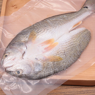 仙泉湖 斑点尾鲈鱼 500g