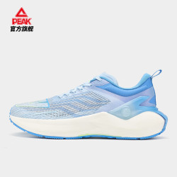 peak匹克态极50pro跑鞋男鞋夏季透气轻便跑步鞋减震防滑运动鞋男et3