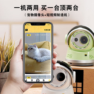 宠物摄像头宠物监控器家用可移动监控机器人AI跟踪狗狗猫咪玩具远程对话短视频制造机 Pickfun探索白
