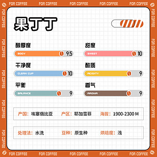 2022产季 埃塞俄比亚 耶加 果丁丁 水洗手冲咖啡豆 227g