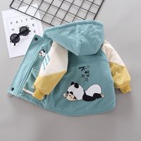 男童外套秋冬装加厚棉服2023新款洋气棉袄宝宝1-4岁3中小童棉衣潮