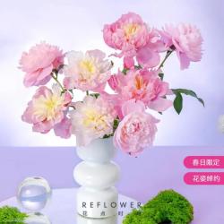 REFLOWER 花点时间 芍药混色随机-8支