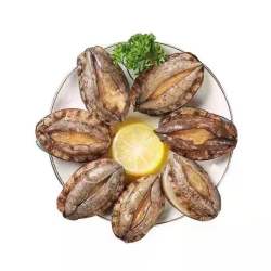 星品膳   大鲍鱼2斤装(20头)