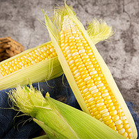 88VIP：Goodfarmer 佳农 可生吃新鲜水果玉米  500g