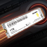 GLOWAY 光威 弈系列 M.2 NVMe 固态硬盘 2TB