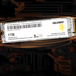 GLOWAY 光威 弈系列 M.2 NVMe 固态硬盘 2TB
