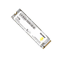 GLOWAY 光威 弈系列 M.2 NVMe 固态硬盘 2TB