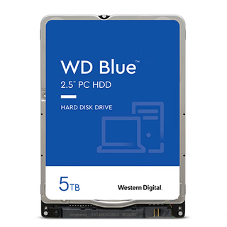 Western Digital 西部数据 蓝盘系列 2.5英寸 笔记本硬盘