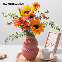 FlowerPlus 花加 「晴空屿主题花」