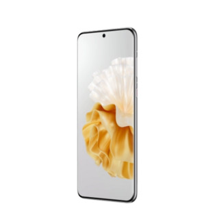 HUAWEI 华为 P60 Pro 4G手机