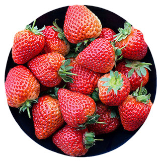 果仙享 草莓 700g-750g