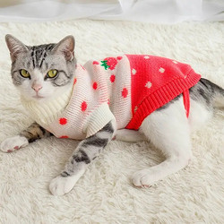 派樂特 貓咪衣服寵物衣服秋冬裝 小貓幼貓 10號碼