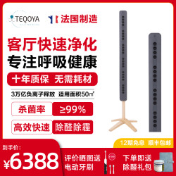 TEQOYA 得康氧 法国进口TEQOYA 得康氧teqair450除菌负离子发生器空气净化器静音