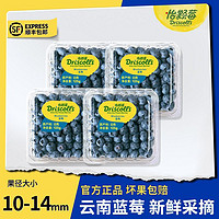 怡颗莓 云南蓝莓4盒起当季限量采摘鲜果宝宝辅食果径10-14mm