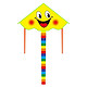 法漫玫 儿童卡通风筝一套装+100米线板