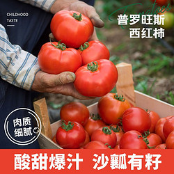 普罗旺斯西红柿新鲜现摘自然熟沙瓤番茄生吃蔬菜3斤/5斤怡养佳人