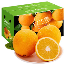 松林美果 赣南脐橙  5斤精品果（单果约120g-150g）
