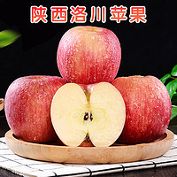 水果蔬菜 洛川红富士苹果 5斤装大果80-85mm