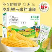十月稻田 五常鲜食玉米 2.2kg
