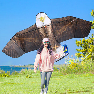 XiLi 喜立 玩具风筝成人儿童大型风筝线轮易飞户外亲子互动2.4米大号老鹰