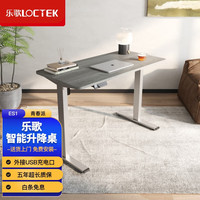 乐歌(Loctek) 电动 升降桌 智能升降电脑桌站立式台式办公简约家用居家书桌ES1 灰色桌腿+浅灰木纹 1.2*0.6米桌板