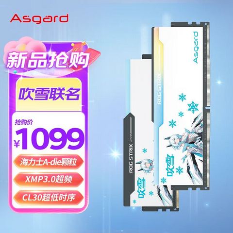 阿斯加特内存_Asgard 阿斯加特32GB(16GBx2)套装DDR5 6000 台式机内存