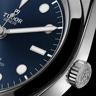 TUDOR 帝舵 碧湾系列 31毫米自动上链腕表 M79600-0002