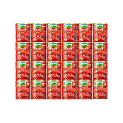 屯河 去皮番茄丁200gX12罐礼盒0添加剂番茄罐头火锅露营番茄酱