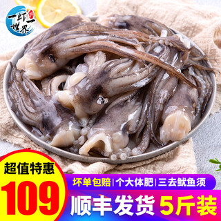 一虾一世界新鲜冷冻大号三去鱿鱼头 鱿鱼爪鱿鱼须生鲜火锅烧烤食材海鲜水产 单冻鱿鱼头4.5斤装