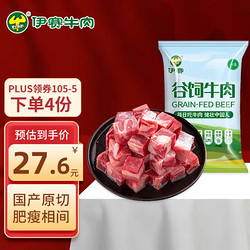 yisai 伊赛 西门塔尔牛腩块 500g