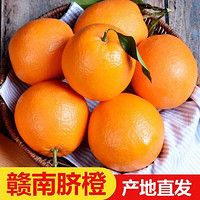枝头春 赣南脐橙  5斤超超大果（90mm+）