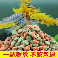 亚峰 贴片饲料孔雀鱼金鱼热带观赏鱼锦鲤金鱼鹦鹉鱼小型热带观赏鱼饲料
