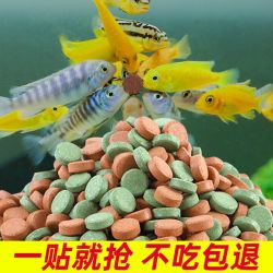 亚峰 贴片饲料孔雀鱼金鱼热带观赏鱼锦鲤金鱼鹦鹉鱼小型热带观赏鱼饲料