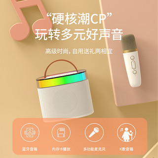 SOAIY 索爱 SK2蓝牙音箱家用无线k歌音响话筒麦克风户外唱歌小型家庭ktv 单麦旗舰版 油彩白