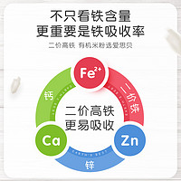 EARTH'S BEST 婴幼儿原装进口有机高铁辅食营养米粉米糊175g