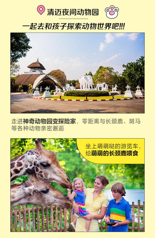 大象保护营+夜间动物园，解锁清迈亲子玩法！上海直飞泰国清迈自由行套餐（含往返机票+5晚清迈住宿）