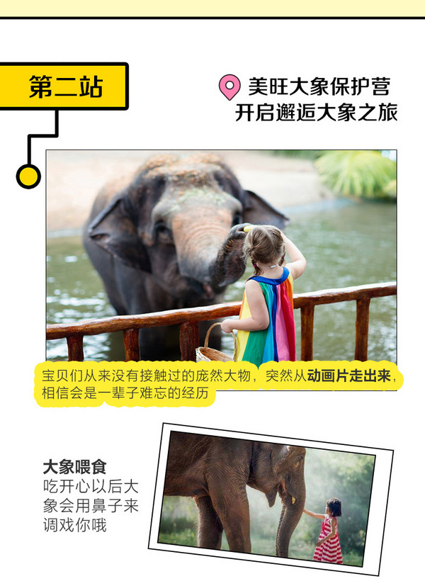 大象保护营+夜间动物园，解锁清迈亲子玩法！上海直飞泰国清迈自由行套餐（含往返机票+5晚清迈住宿）