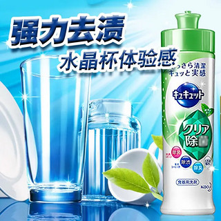 Kao 花王 除菌洗洁精 240ml 绿茶香