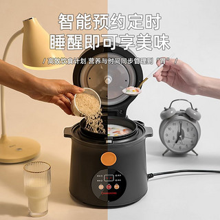 长虹迷你电饭锅家用1.2升智能预约多功能蒸煮一个人2人小型电饭煲