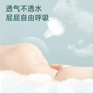 凯儿得乐care daily小鹿裤纸尿裤M36片(6-11kg)超薄透气大码婴儿尿不湿